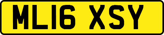 ML16XSY