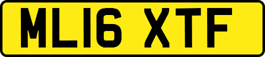 ML16XTF