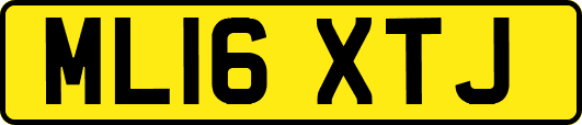 ML16XTJ