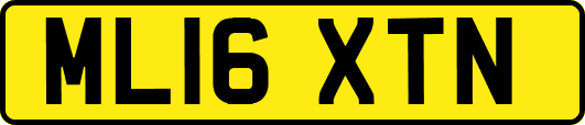 ML16XTN