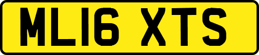 ML16XTS