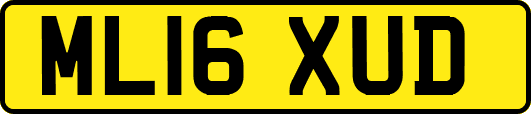 ML16XUD