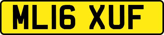 ML16XUF