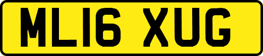 ML16XUG