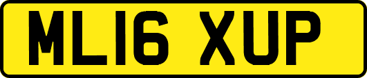 ML16XUP