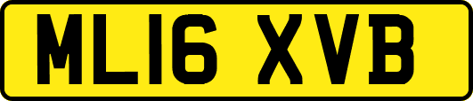 ML16XVB