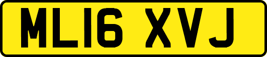 ML16XVJ