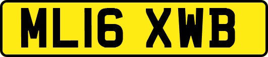 ML16XWB