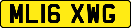 ML16XWG