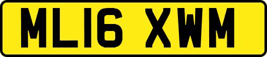ML16XWM