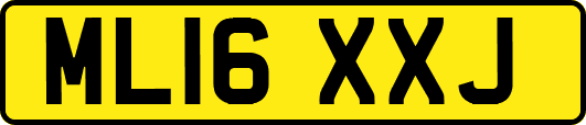 ML16XXJ