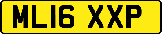 ML16XXP