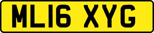 ML16XYG