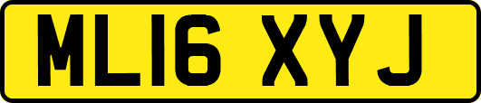 ML16XYJ