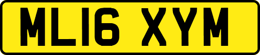 ML16XYM