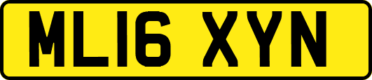 ML16XYN