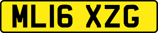 ML16XZG