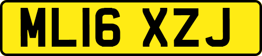ML16XZJ