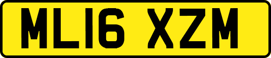 ML16XZM