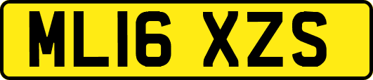 ML16XZS