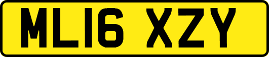 ML16XZY