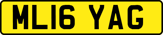 ML16YAG