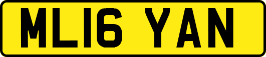 ML16YAN