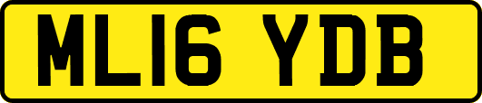 ML16YDB