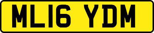 ML16YDM