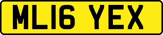 ML16YEX