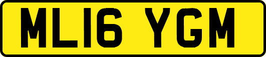 ML16YGM