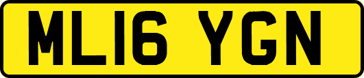 ML16YGN