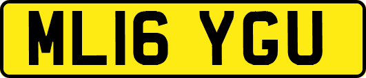 ML16YGU