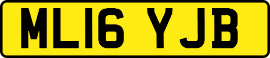 ML16YJB