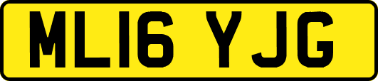ML16YJG