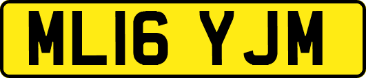 ML16YJM