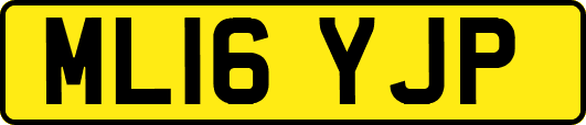 ML16YJP