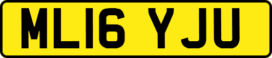 ML16YJU