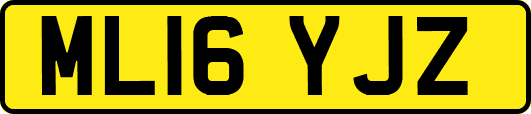 ML16YJZ