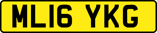ML16YKG