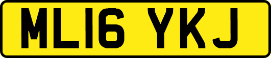 ML16YKJ