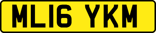 ML16YKM