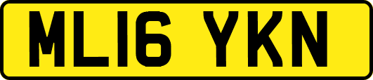 ML16YKN