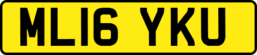 ML16YKU