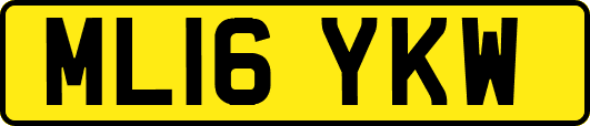 ML16YKW