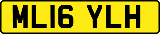 ML16YLH