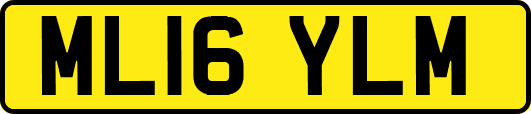 ML16YLM