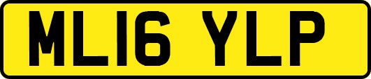 ML16YLP