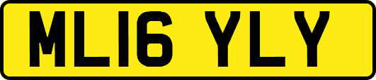 ML16YLY