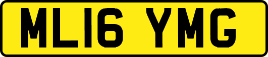 ML16YMG